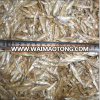 types of dried fish for sale